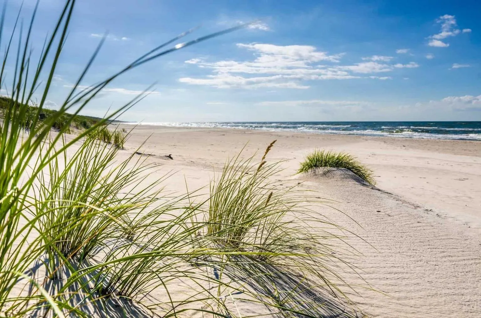 Domki Pod Lasem Sobieszewo Gdansk Holiday home